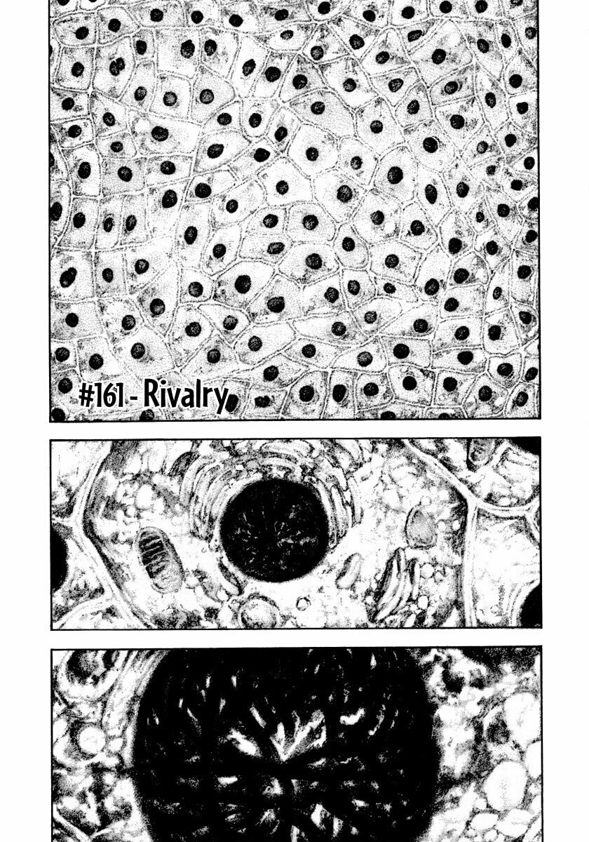 The Climber (Kokou no Hito) Manga Chapter 161 page 1 - Rivalry