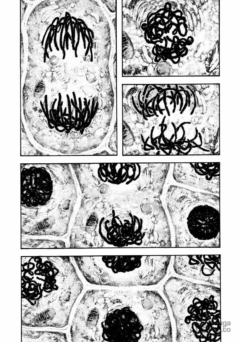 The Climber (Kokou no Hito) Manga Chapter 161 page 5 - Rivalry