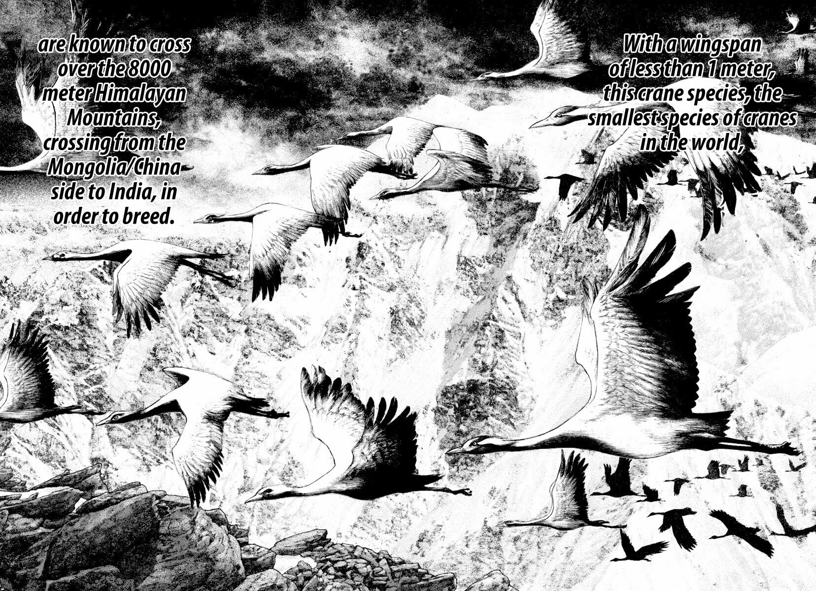 The Climber (Kokou no Hito) Manga Chapter 168 page 9 - Instinct