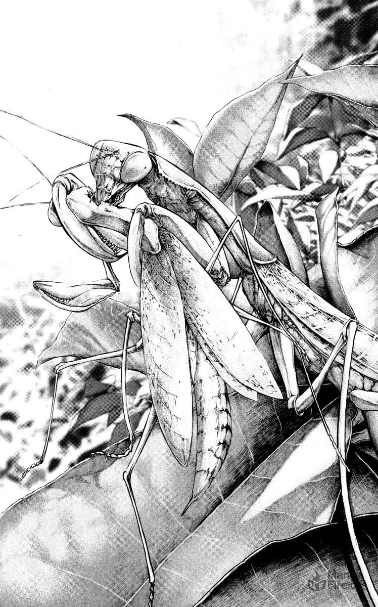 The Climber (Kokou no Hito) Manga Chapter 51 page 5 - First Snow Capped Peak