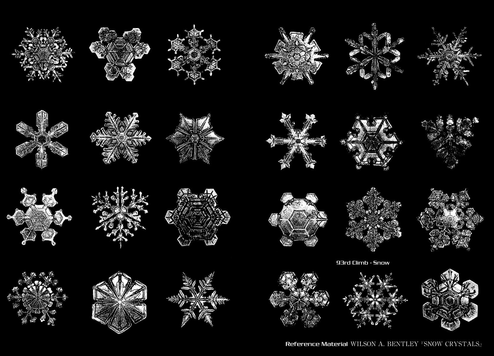 The Climber (Kokou no Hito) Manga Chapter 93 page 8 - Snow